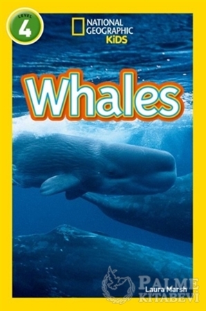 Resim Whales: Level 4