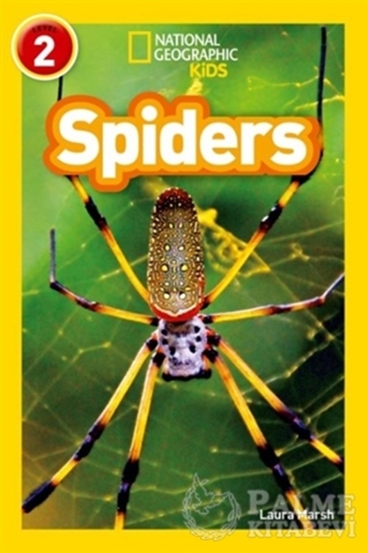 resm Spiders (Readers 2)