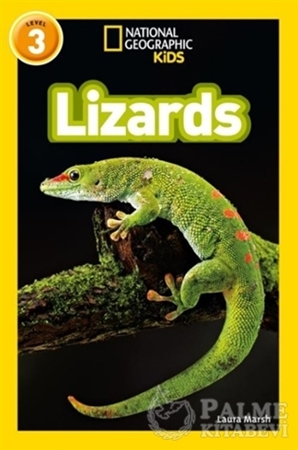 Resim Lizards (Readers 3)