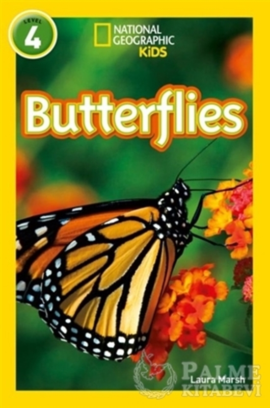resm Butterflies: Level 4