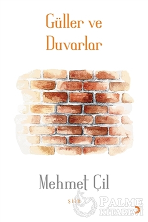 Resim Güller ve Duvarlar