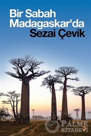 Resim Bir Sabah Madagaskar'da