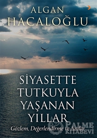 Resim Siyasette Tutkuyla Yaşanan Yıllar