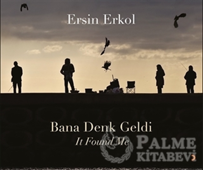 resm Bana Denk Geldi