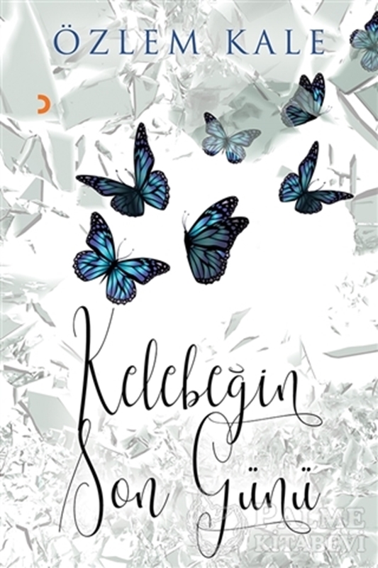 resm Kelebeğin Son Günü