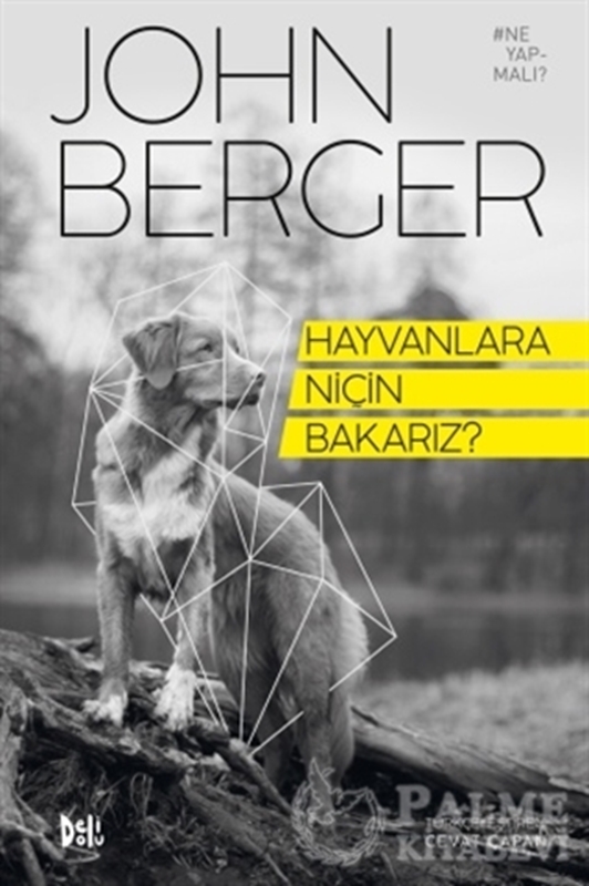 resm Hayvanlara Niçin Bakarız?