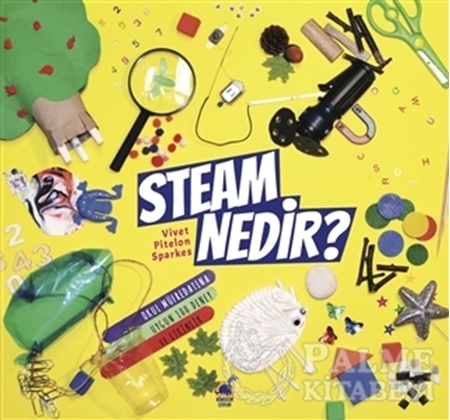 Resim Steam Nedir?