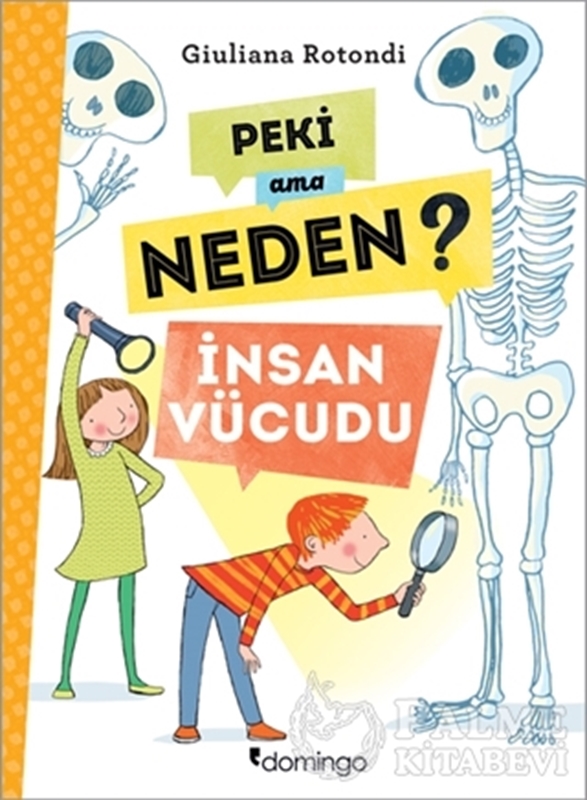 resm Peki Ama Neden? - İnsan Vücudu