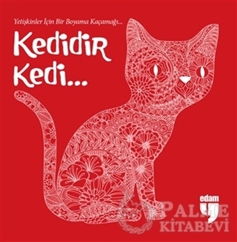 resm Kedidir Kedi...