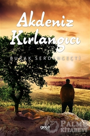 Resim Akdeniz Kırlangıcı