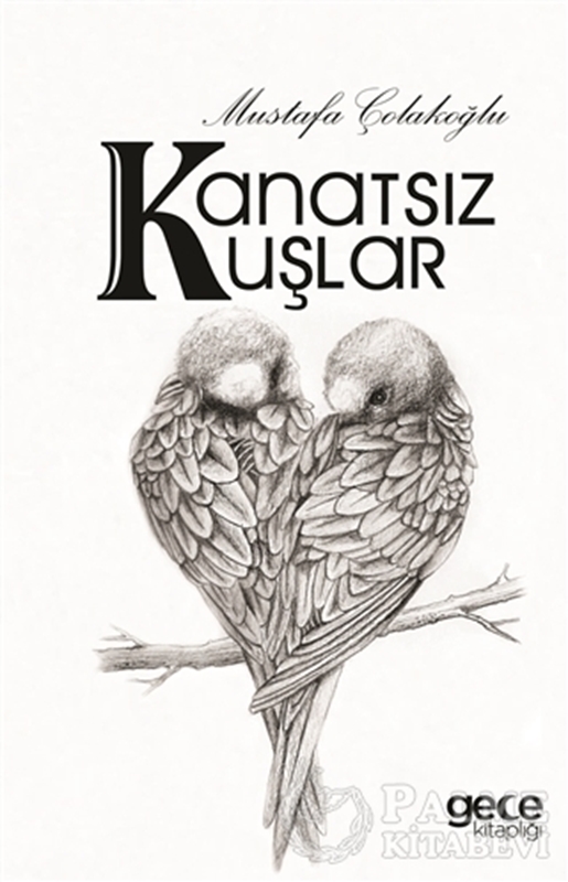 resm Kanatsız Kuşlar