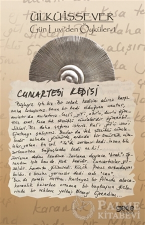 Resim Cumartesi Kedisi