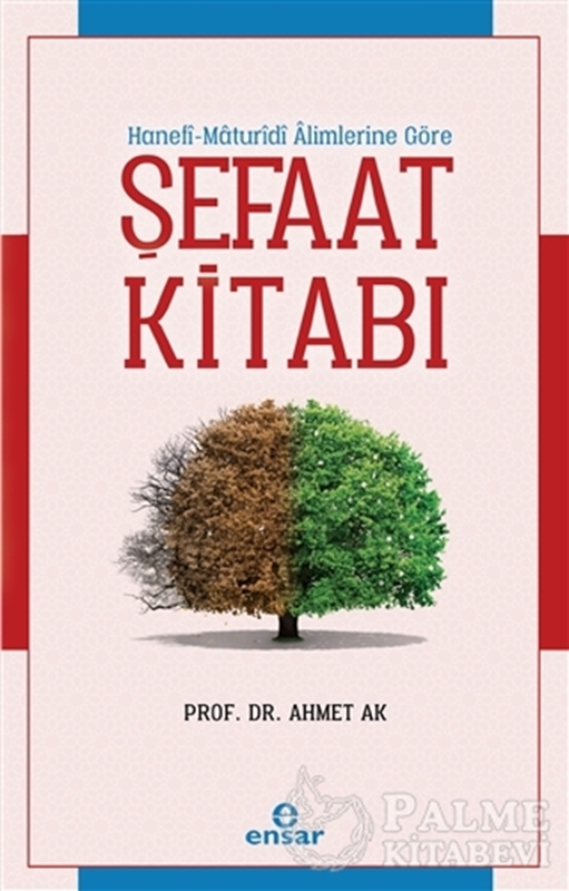 resm Şefaat Kitabı
