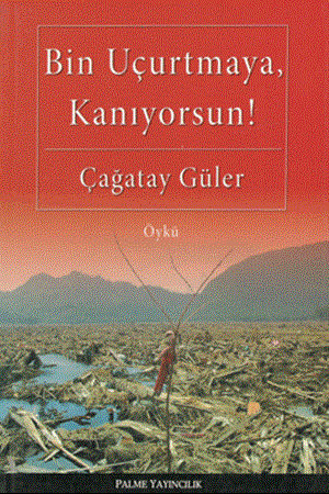 Resim Bin Uçurtmaya, Kanıyorsun!