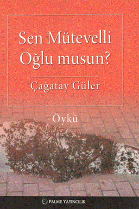 resm Sen Mütevelli Oğlu Musun?