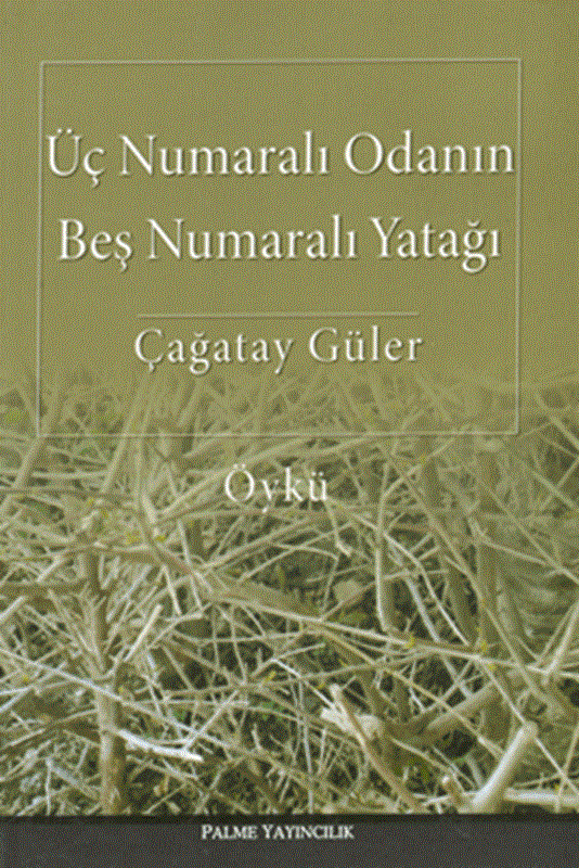 resm Üç Numaralı Odanın Beş Numaralı Yatağı