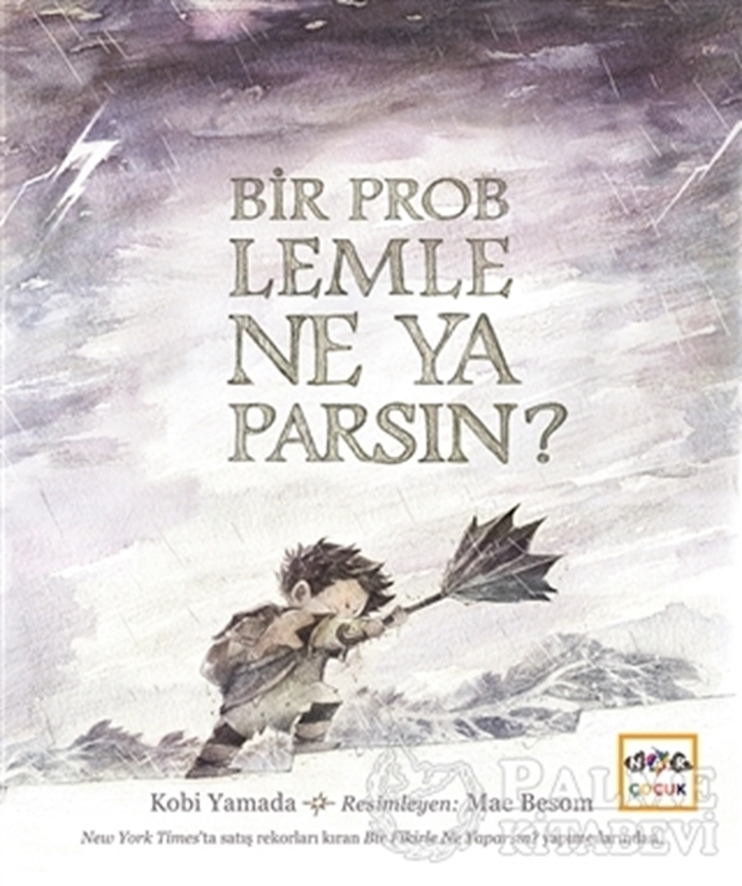 resm Bir Problemle Ne Yaparsın?