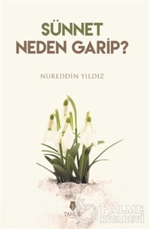 Resim Sünnet Neden Garip?