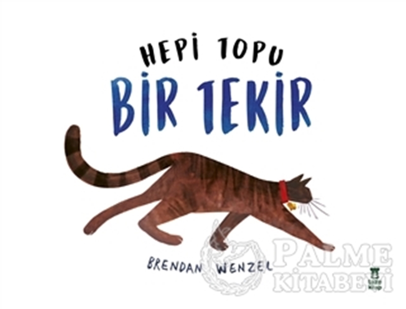 resm Hepi Topu Bir Tekir