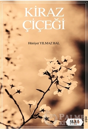 Resim Kiraz Çiçeği