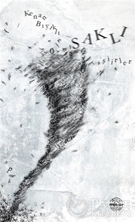 Resim Saklı Şiirler