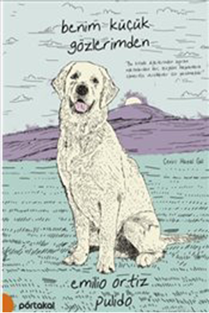 Resim Benim Küçük Gözlerimden