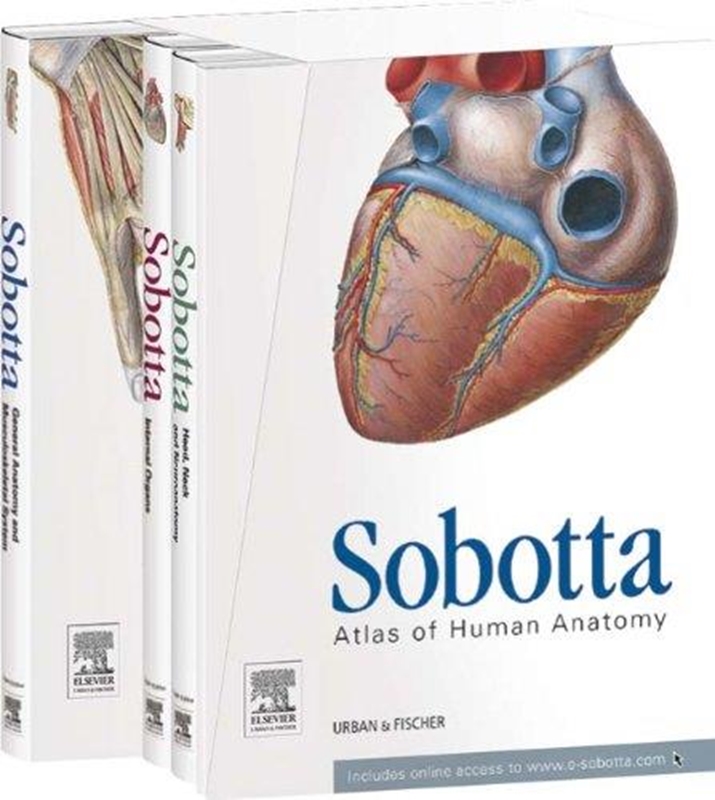 resm Sobotta Atlas of Human Anatomy 15e