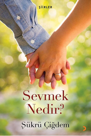 Resim Sevmek Nedir?