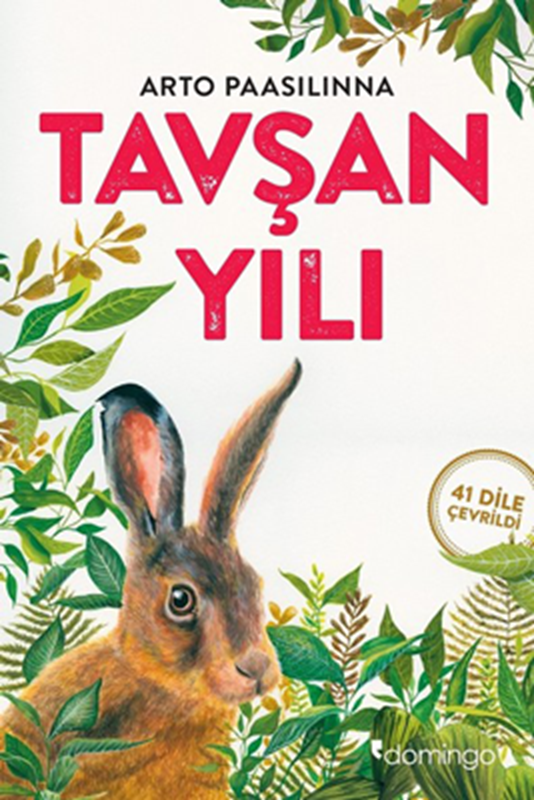 resm Tavşan Yılı