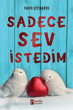 Resim Sadece Sev İstedim