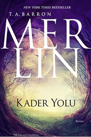 Resim Kader Yolu - Merlin 4