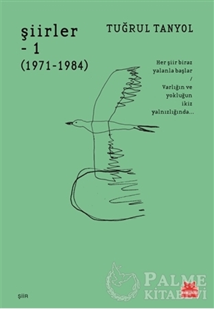 Resim Şiirler 1 (1971 - 1984)
