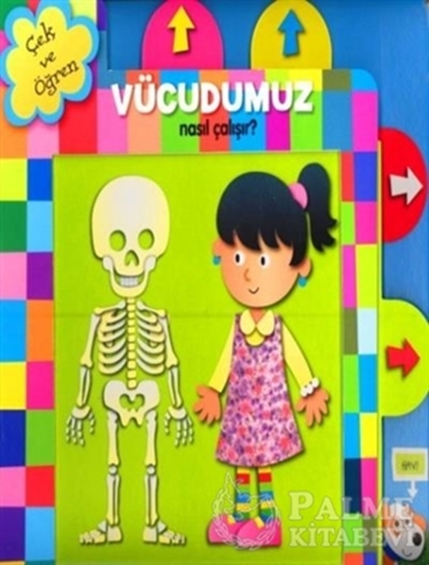 resm Çek ve Öğren - Vücudumuz Nasıl Çalışır?