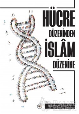 Resim Hücre Düzeninden İslam Düzenine