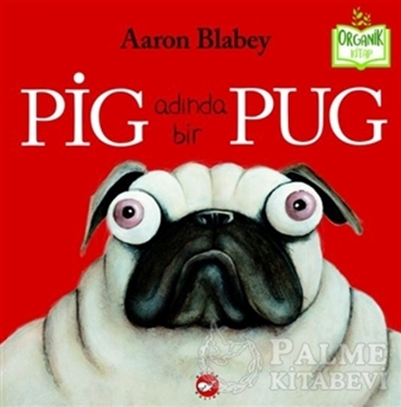 Resim Pig Adında Bir Pug