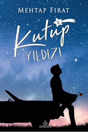 Resim Kutup Yıldızı - 2