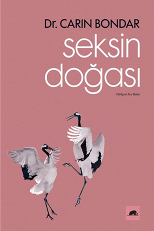resm Seksin Doğası