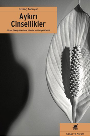 Resim Aykırı Cinsellikler