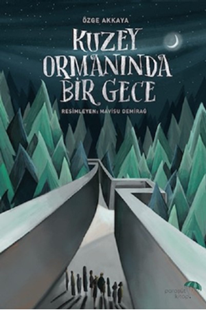 Resim Kuzey Ormanında Bir Gece