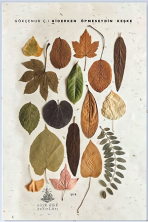 Resim Giderken Öpmeseydin Keşke