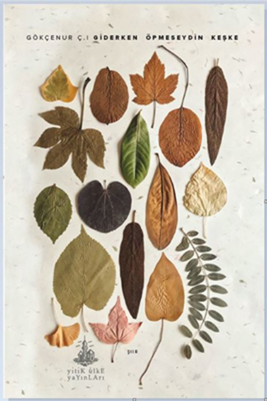 resm Giderken Öpmeseydin Keşke