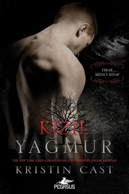 resm Kızıl Yağmur - Firar 2.Kitap