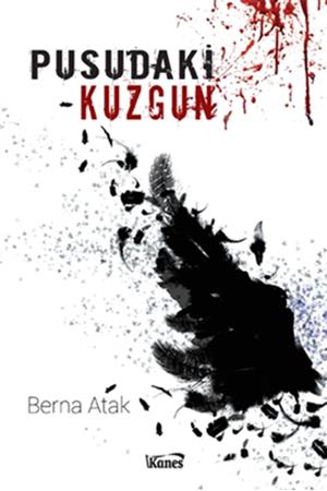 Resim Pusudaki Kuzgun