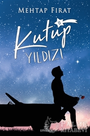 Resim Kutup Yıldızı 2