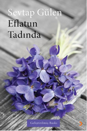 Resim Eflatun Tadında