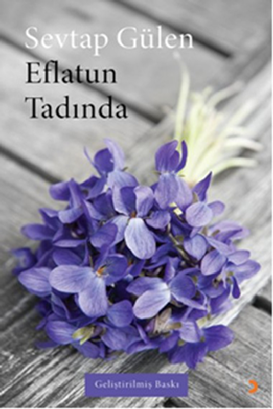 resm Eflatun Tadında