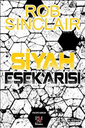 Resim Siyah Eşekarısı