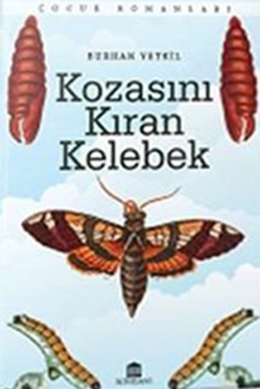 resm Kozasını Kıran Kelebek