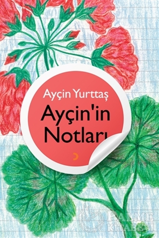 resm Ayçin’in Notları