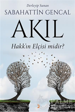 Resim Akıl Hakk'ın Elçisi Midir?